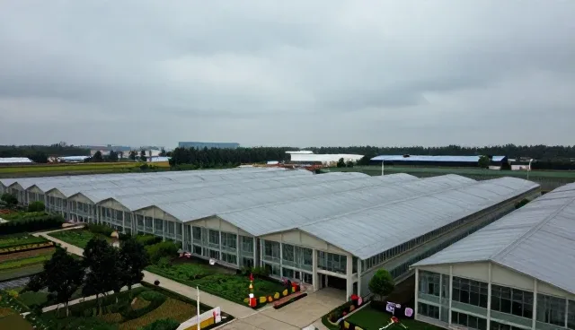 域名配置对代码调试性能的影响与适用场景分析